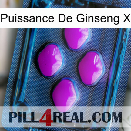 Ginseng Power X 04